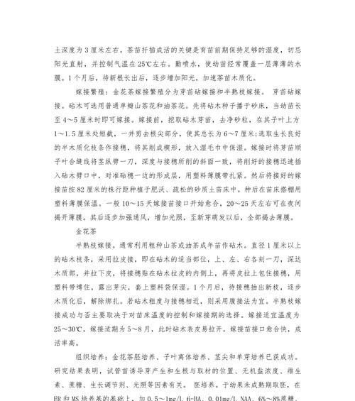 山茶玫瑰花的养护与管理技巧有哪些？