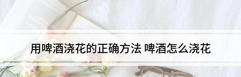 浇灌君子兰使用啤酒的最佳方法是什么？