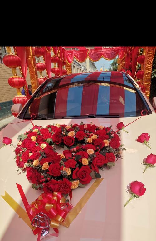 车内环境适合养玫瑰花吗？如何在车内养护玫瑰？