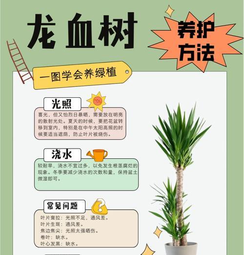 仙人掌红帝龙的养殖方法是什么？如何确保其健康成长？