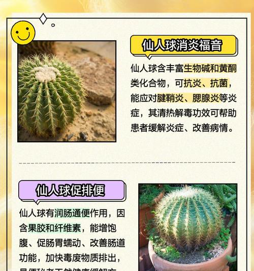 大棚放弃的仙人球品种如何处理？