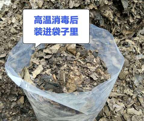 橡叶君子兰的土壤应该如何配制？配土时需要注意哪些要点？