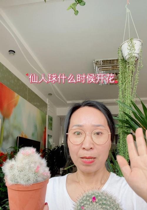仙人球开花的原因是什么？