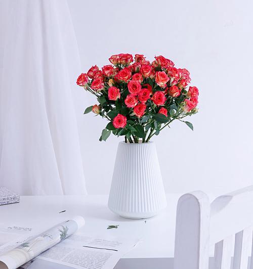 玫瑰花插花瓶时应该搭配哪些花？