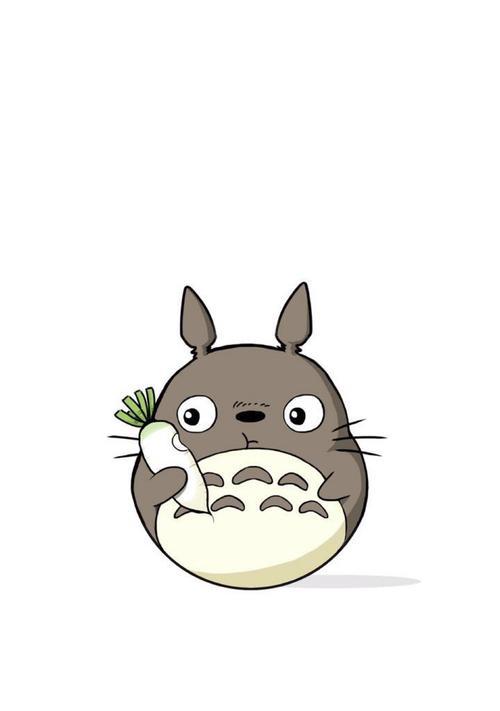 龙猫萝卜仙人掌的养殖方法是什么？