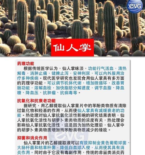 杨家花卉仙人掌养护需要注意什么？