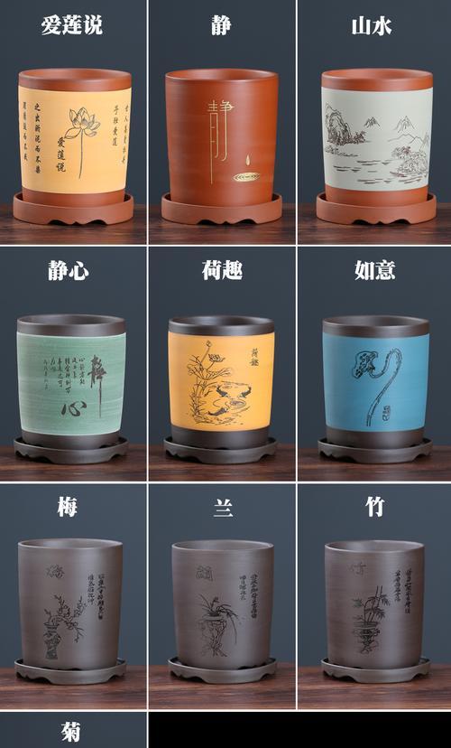 山水君子兰专用花盆的养护技巧是什么？