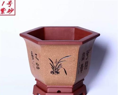山水君子兰专用花盆的养护技巧是什么？