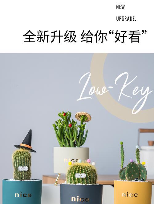 仙人球选择花盆和盆栽的技巧是什么？