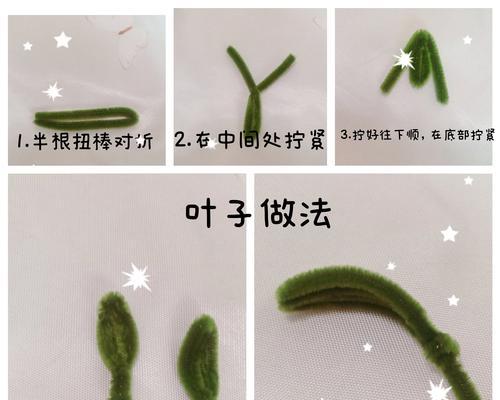盆栽玫瑰花的正确浇水方法是什么？多久浇一次水？