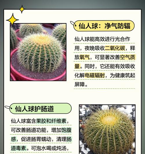 怎样判断仙人球需要浇水？浇水频率和量是多少？