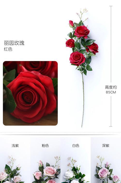圆花瓶怎么插花玫瑰花？插花技巧有哪些？