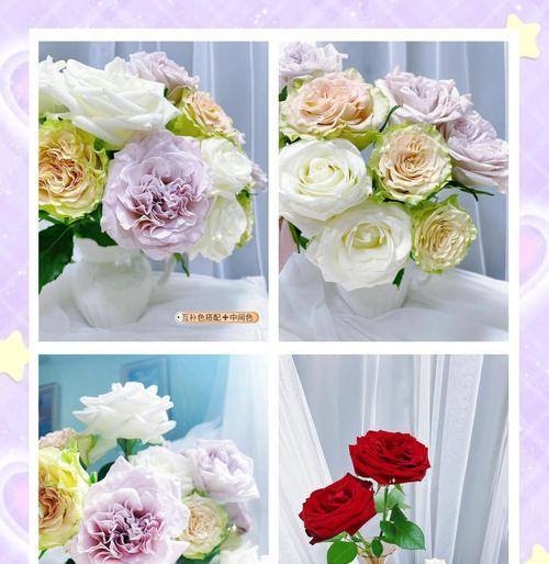 圆花瓶怎么插花玫瑰花？插花技巧有哪些？