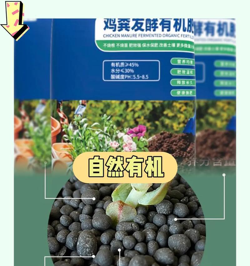 鸡粪作为仙人掌肥料的正确使用方法是什么？