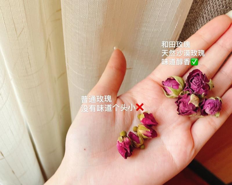 和田玫瑰花的种植方法是什么？