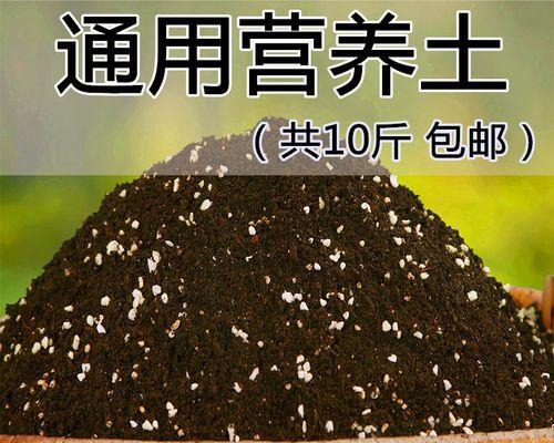 养绿萝君子兰专用土壤怎么配？如何调配适合的土壤配方？