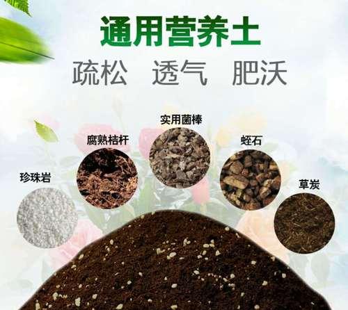 养绿萝君子兰专用土壤怎么配？如何调配适合的土壤配方？