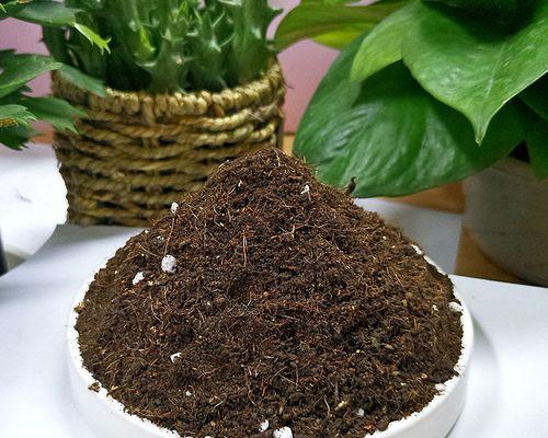 养绿萝君子兰专用土壤怎么配？如何调配适合的土壤配方？