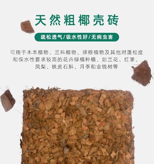 椰壳砖用于君子兰养护有哪些好处？如何使用？