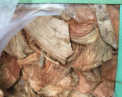 椰壳砖用于君子兰养护有哪些好处？如何使用？