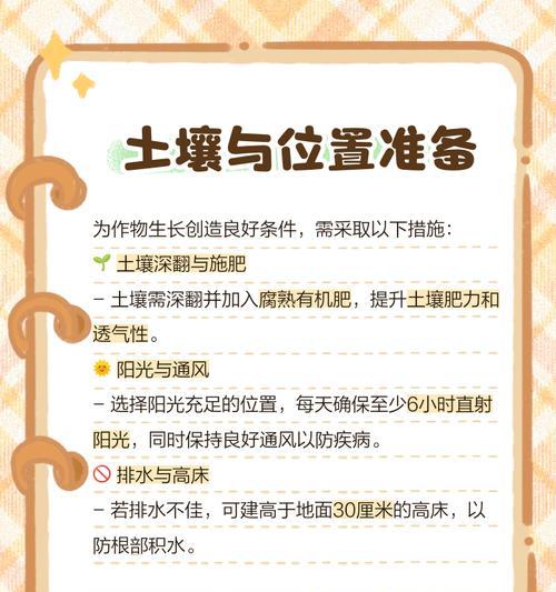 夏季玫瑰花的养护要点是什么？