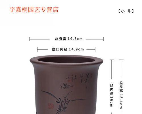 紫兰花盆栽君子兰的正确养护方法是什么？如何处理常见问题？