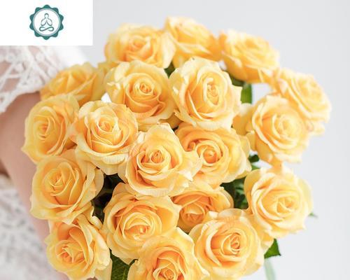 永生花玫瑰花是否为假花？如何养护？