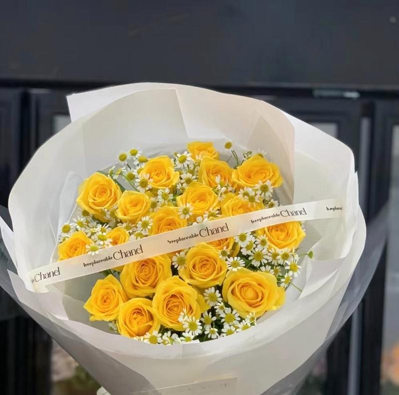 玫瑰花鲜花如何栽培才能存活？需要哪些关键步骤？