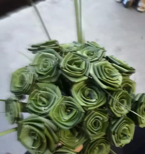 棕叶如何培育出玫瑰花？需要哪些步骤？