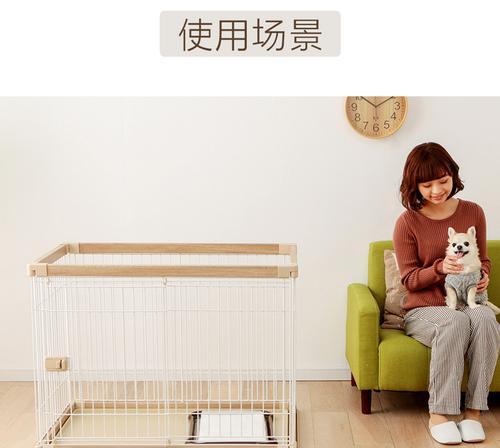 泰迪虾仙人球的养殖方法是什么？