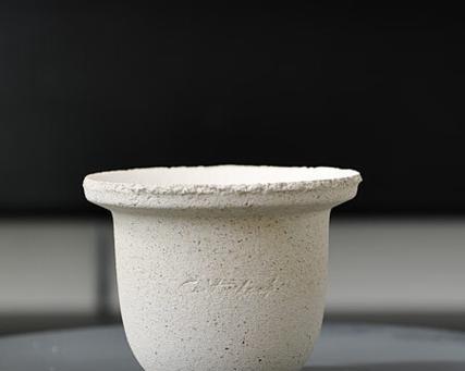 陶瓷花盆种植仙人掌好吗？正确的养护方法是什么？