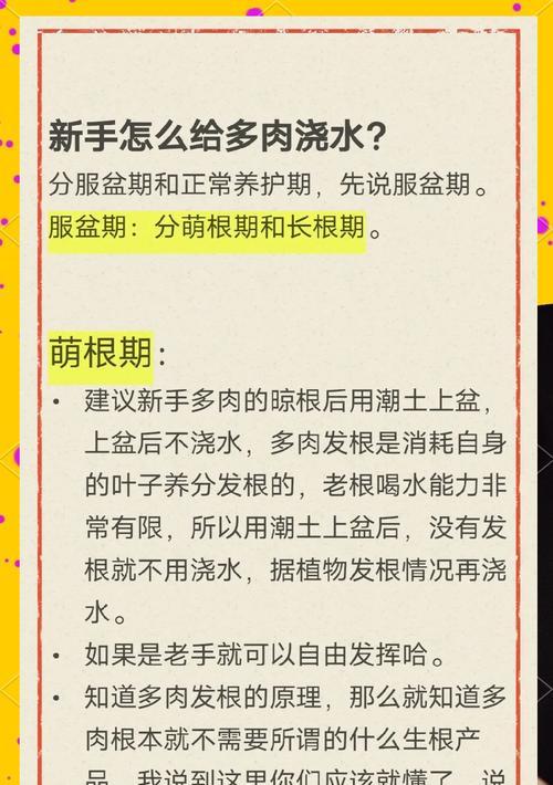 仙人球发根后浇水需要注意什么？