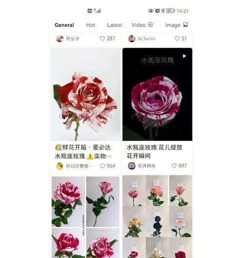 如何改善特别丑玫瑰花的外观？