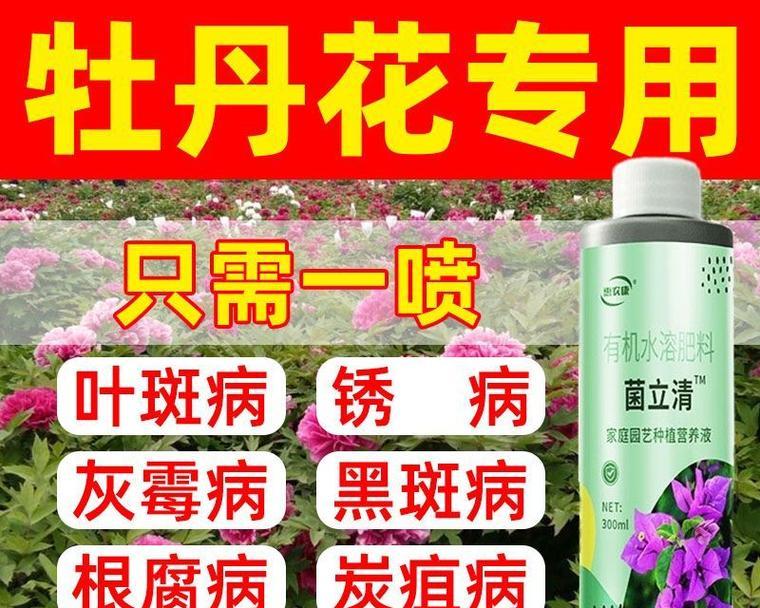 冬季牡丹花种子的种植方法是什么？