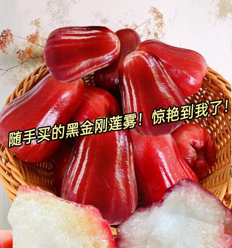 仙人球与莲雾树的区别在哪里？