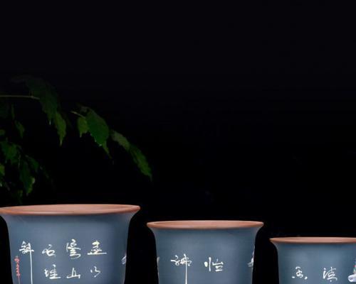 仿紫砂花盆中君子兰的养殖要点是什么？