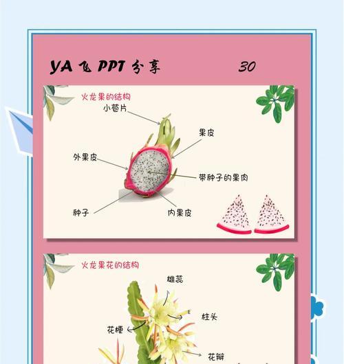 仙人掌火龙果的养护方法是什么？
