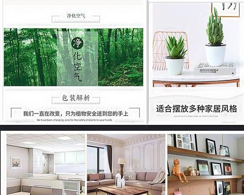 自制仙人球花盆留孔的正确方法是什么？