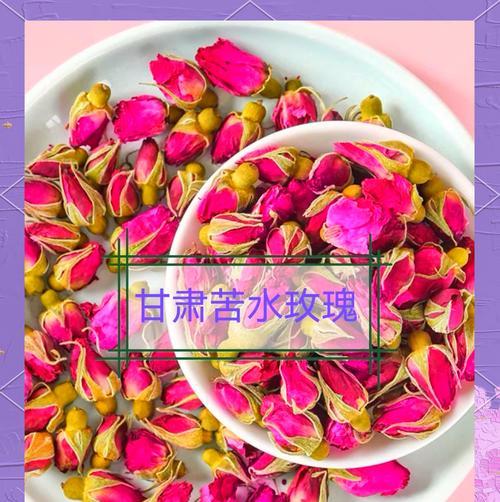 迷你玫瑰花品种选择标准是什么？如何挑选？