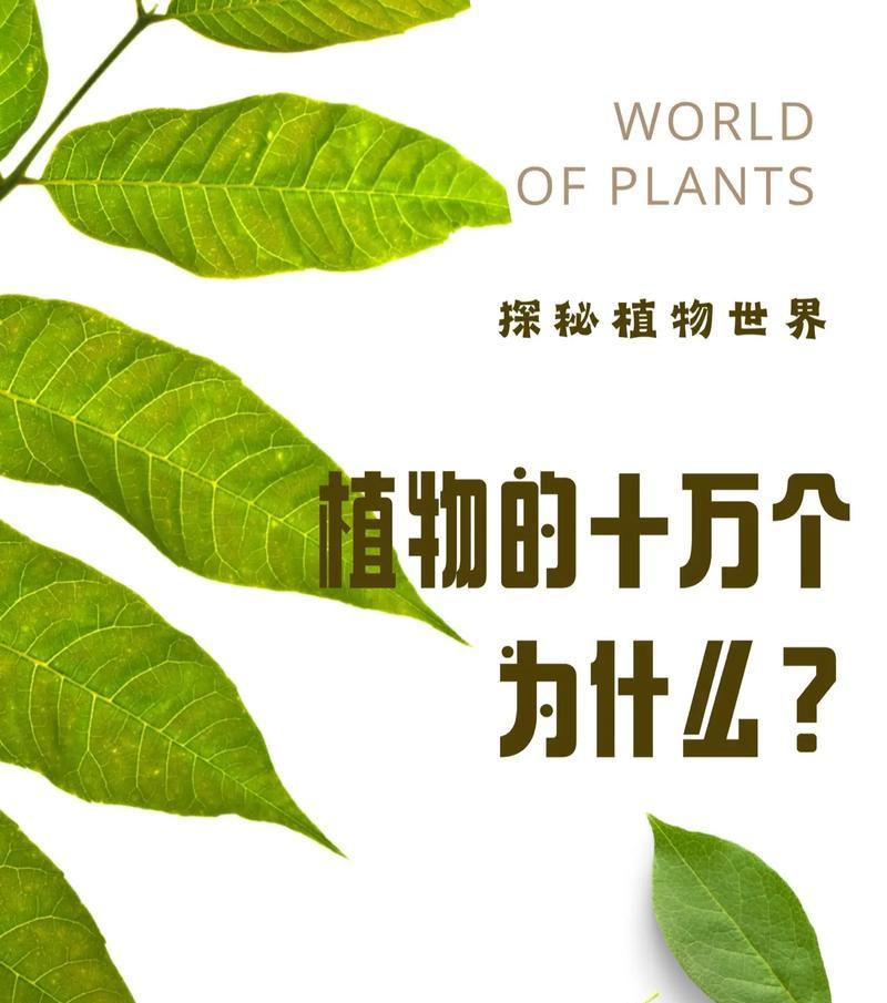 绿植怎么选仙人掌品种呢？如何判断仙人掌的适应性？