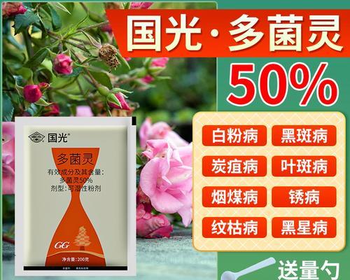 君子兰黄叶专用多菌灵的使用方法是什么？使用过程中应注意什么？