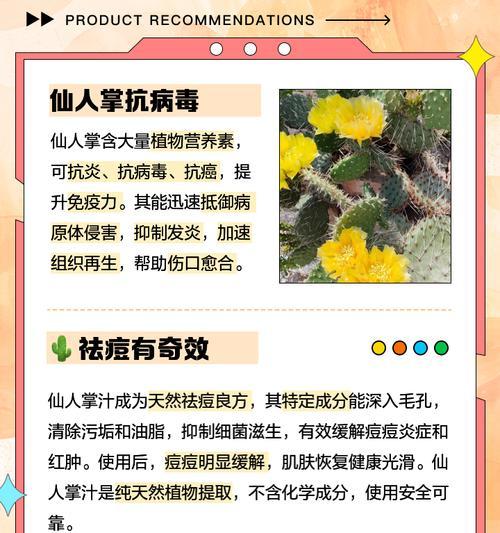 仙人掌仅用腐殖土可以吗？如何正确养护仙人掌？