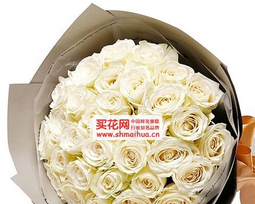 仙人球白玫瑰怎样才能开花？养护白玫瑰的秘诀是什么？