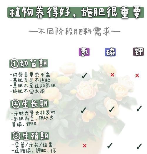 仙人球营养液兑水比例是多少？怎样正确浇花？