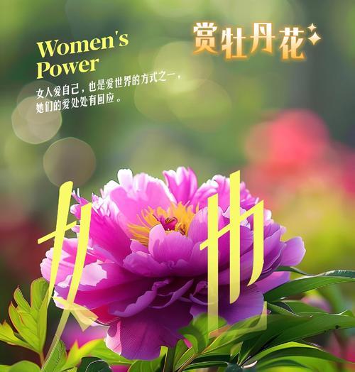 牡丹花养护对老人家有何特别之处？如何确保牡丹花健康生长？