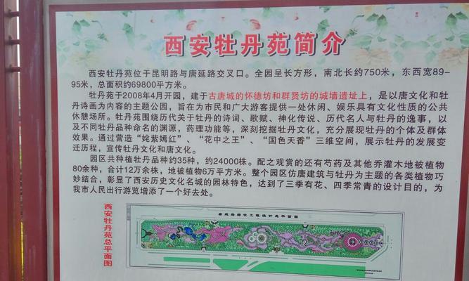 红牡丹花小苗的养护方法是什么？如何养护才能长得更好？