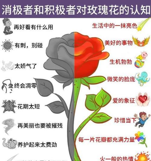 玫瑰花娇气的养护方法是什么？
