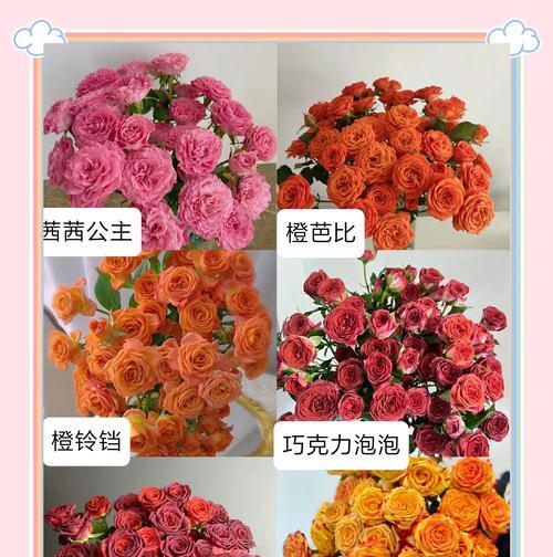 高温环境下如何养好玫瑰花？需要注意哪些问题？