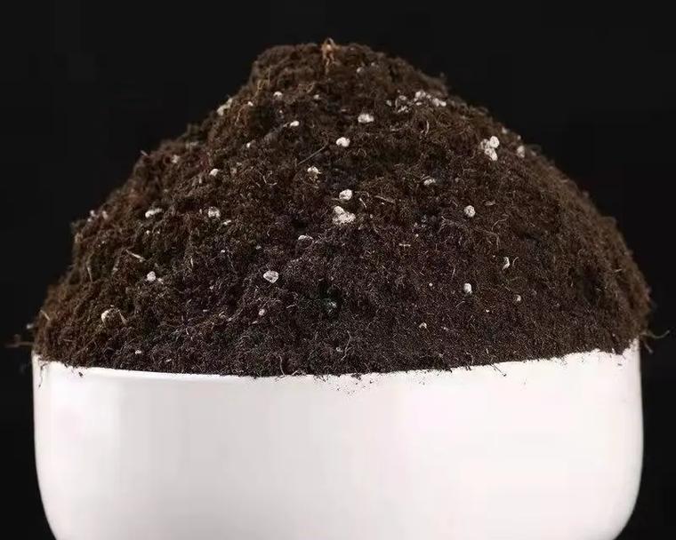仙人球种植最适合使用哪种土壤？