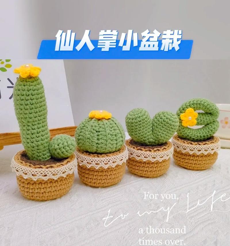 如何巧妙组合仙人球小盆栽？